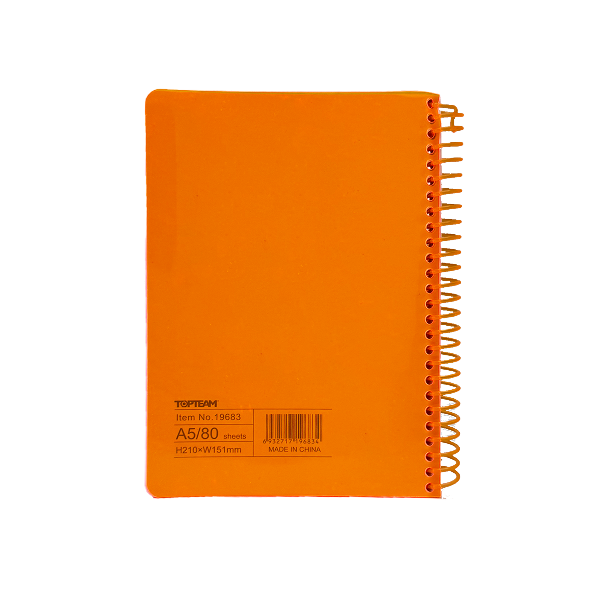 NEON  l   A5 Neon Notebook