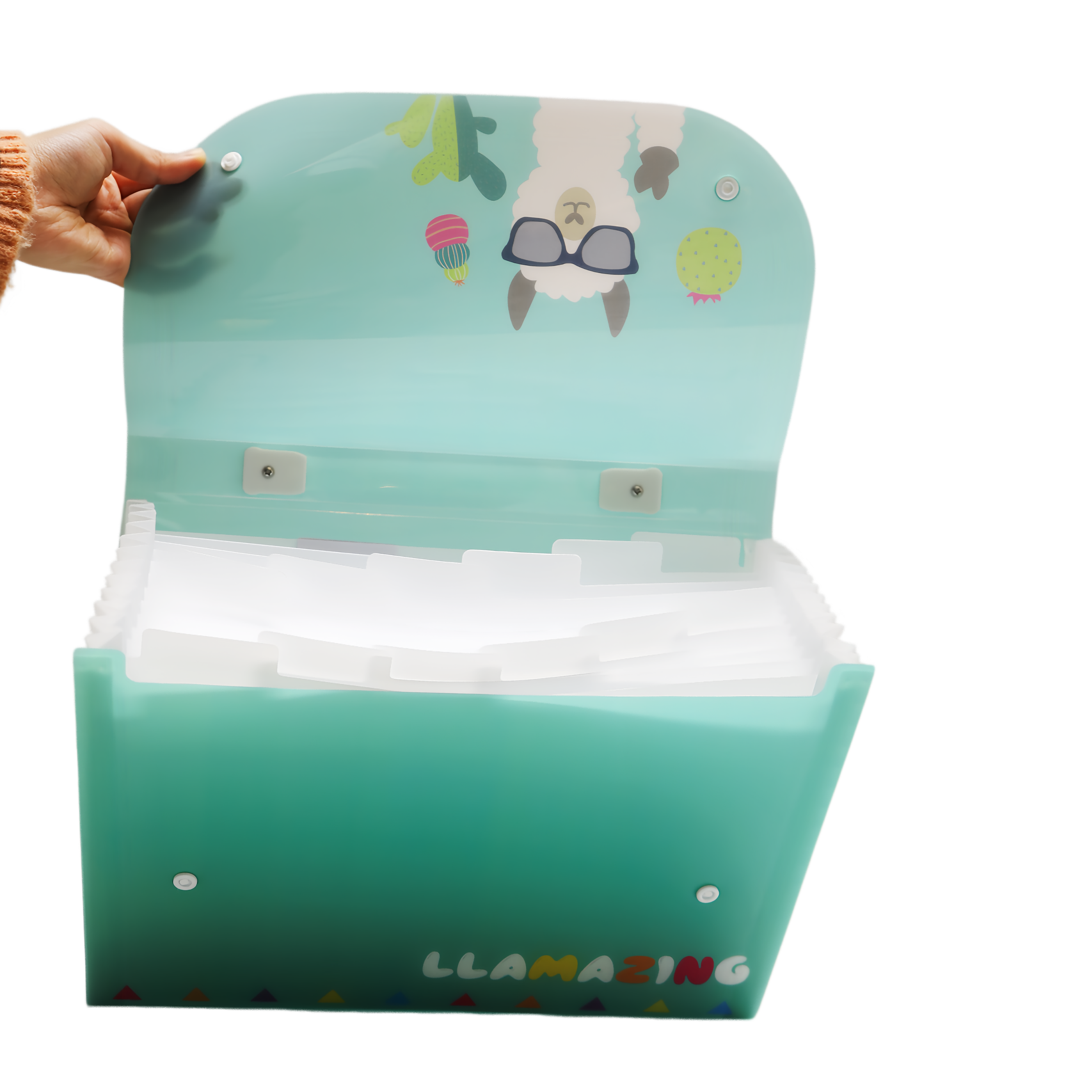 LLAMAZING l Expanding File with Handle