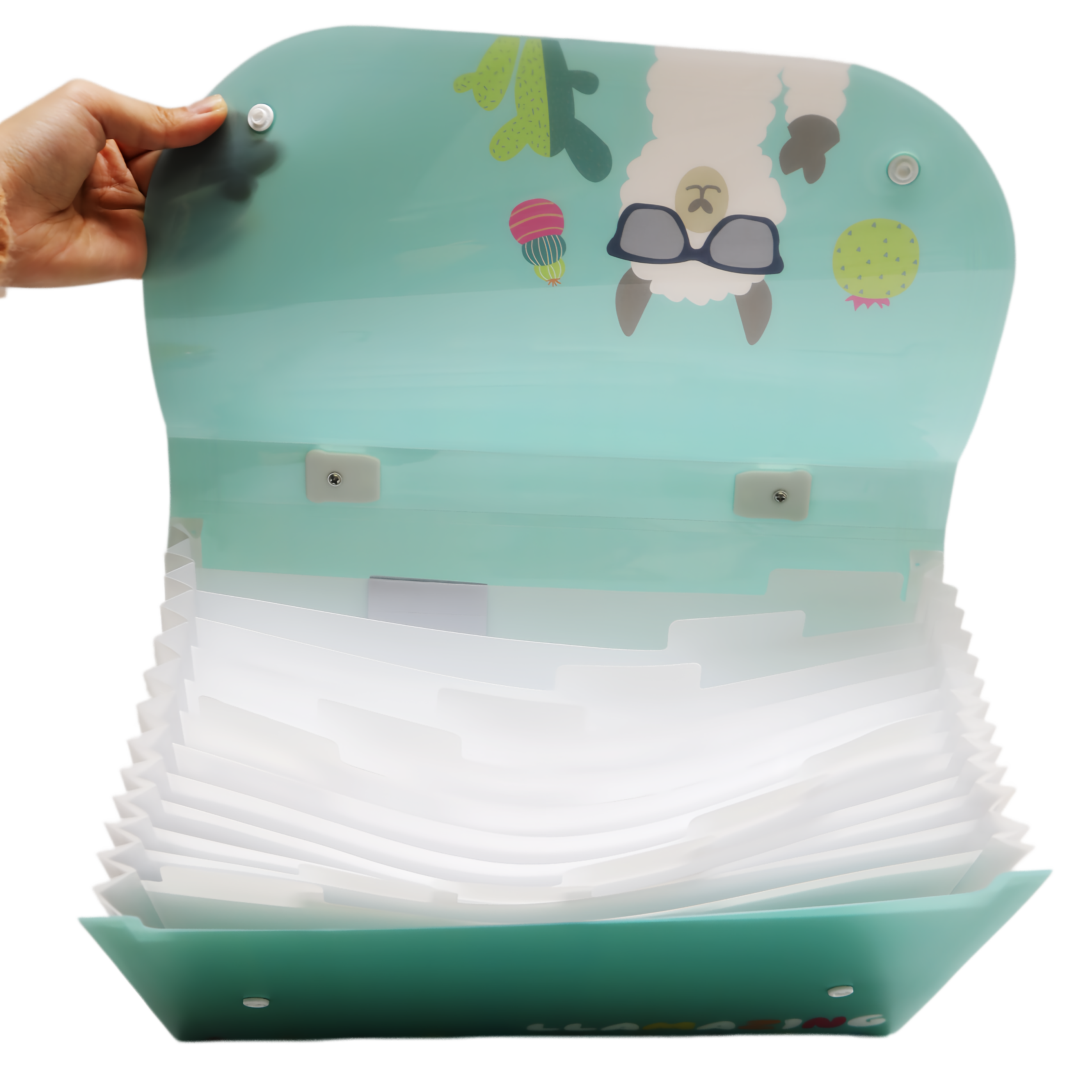 LLAMAZING l Expanding File with Handle