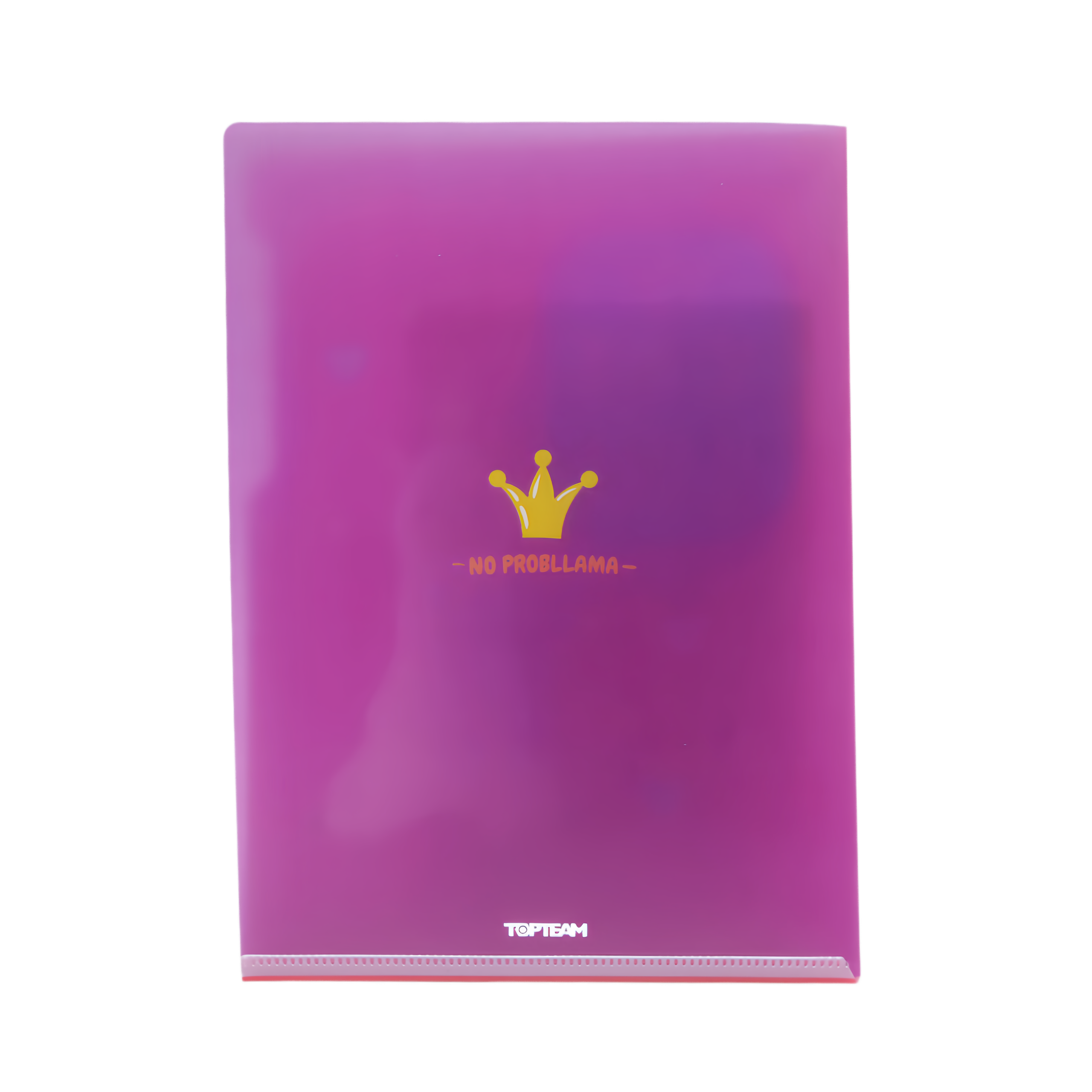 LLAMAZING  l  L-Folder