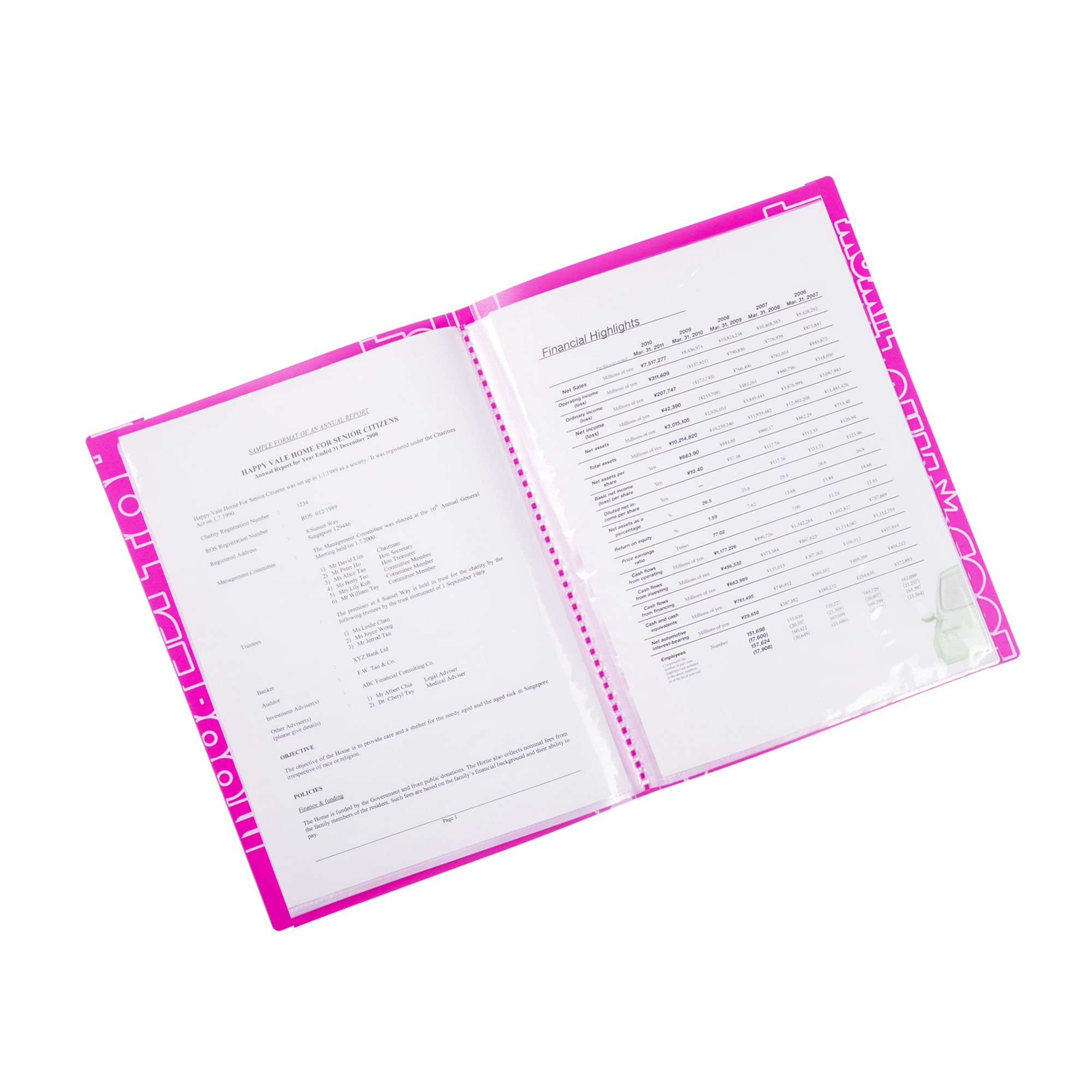 NEON  l   Display Book 30 Pockets